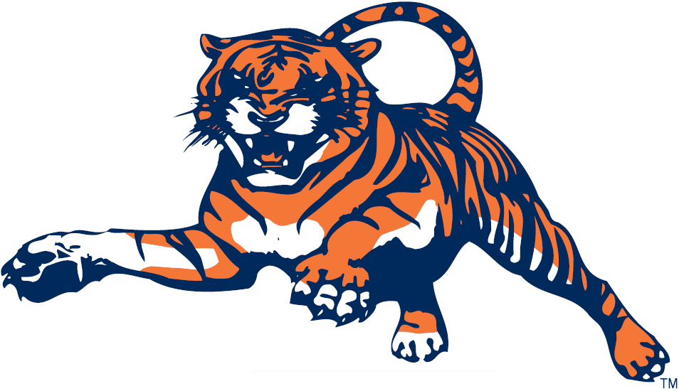 Auburn Tigers 1982-1997 Alternate Logo iron on transfers for fabric